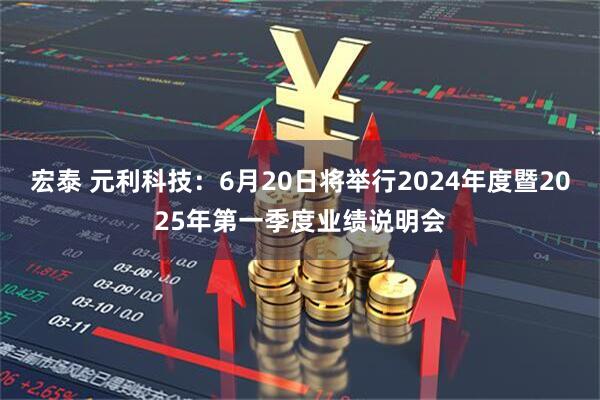 宏泰 元利科技：6月20日将举行2024年度暨2025年第一季度业绩说明会