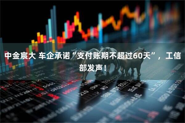 中金宸大 车企承诺“支付账期不超过60天”，工信部发声！