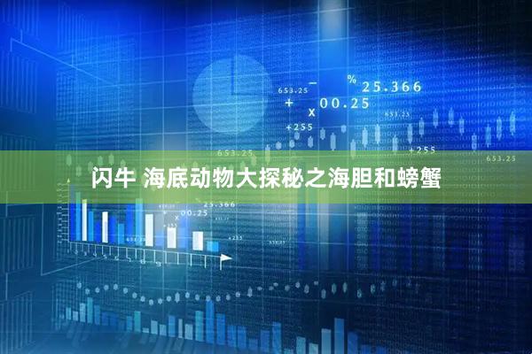 闪牛 海底动物大探秘之海胆和螃蟹