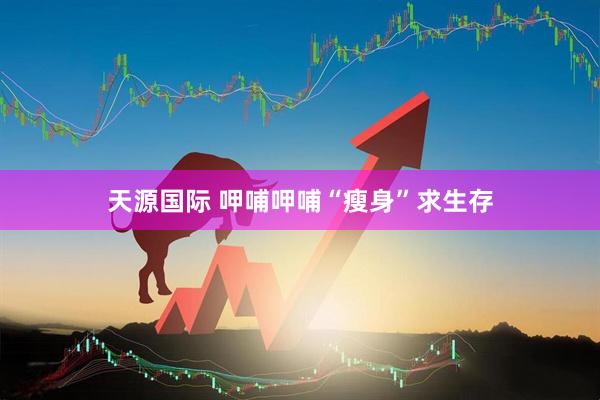 天源国际 呷哺呷哺“瘦身”求生存