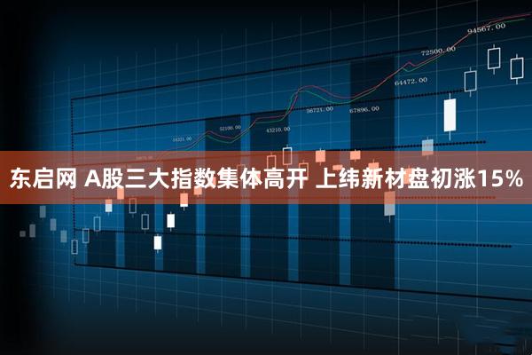 东启网 A股三大指数集体高开 上纬新材盘初涨15%